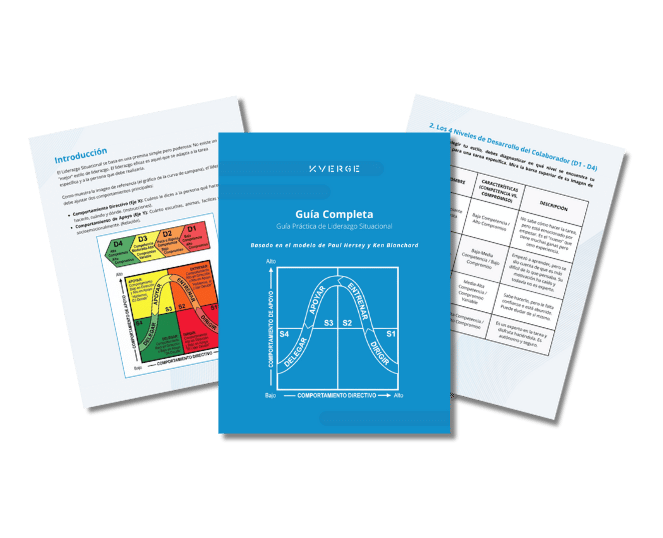 Fold Guía Liderazgo Situacional