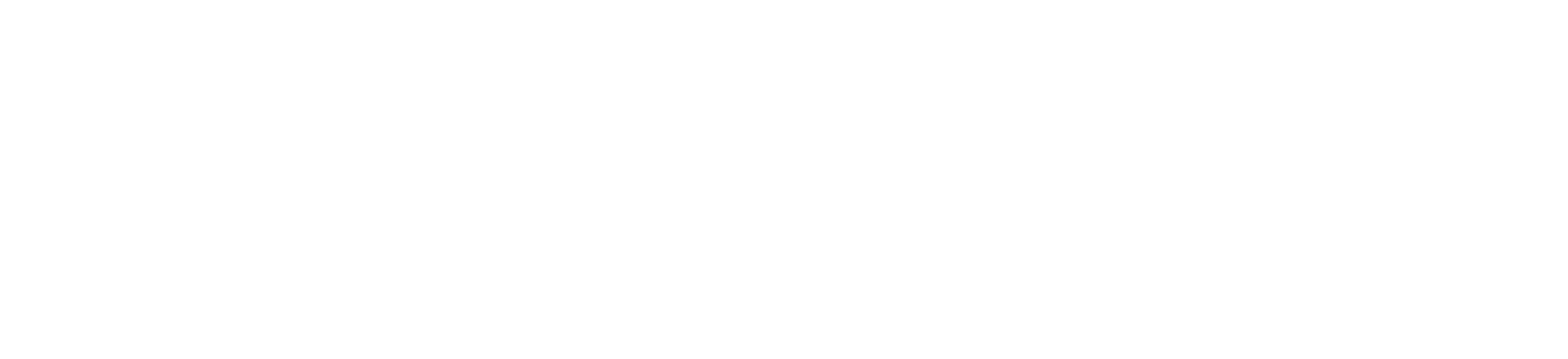 white_logo_transparent_background